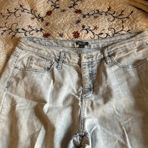 Wild Fable Light Blue stripped Jean